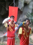 De papegaaienshow