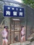 De apengevangenis