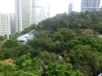 Hong Kong Park - groene long