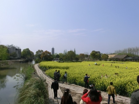 Wuzhen landschap